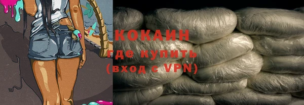 индика Богородицк