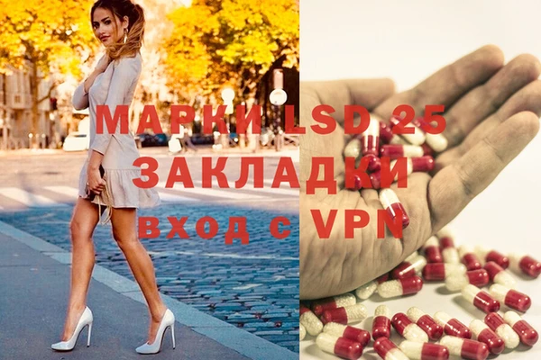 стафф Богданович
