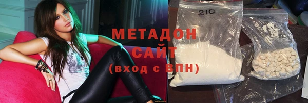 индика Богородицк