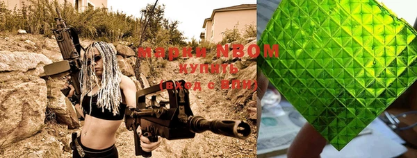 индика Богородицк