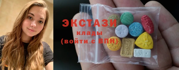 индика Богородицк