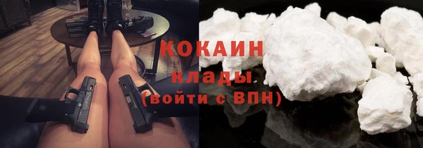 дживик Богородск