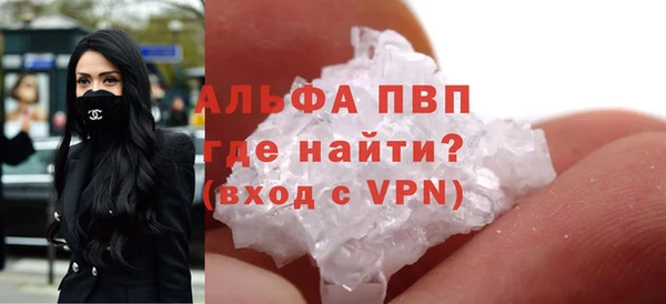 стафф Богданович