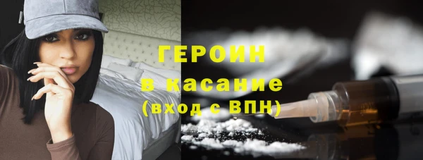 индика Богородицк