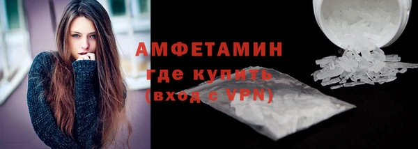 индика Богородицк