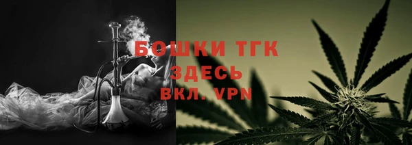 индика Богородицк