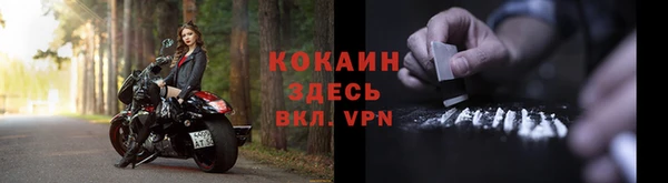 дживик Богородск
