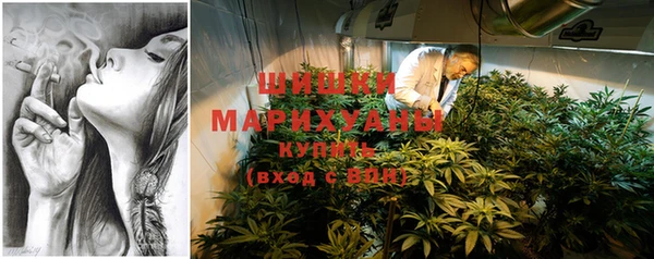 индика Богородицк