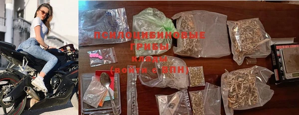 дживик Богородск