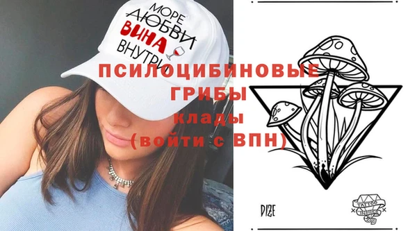 индика Богородицк