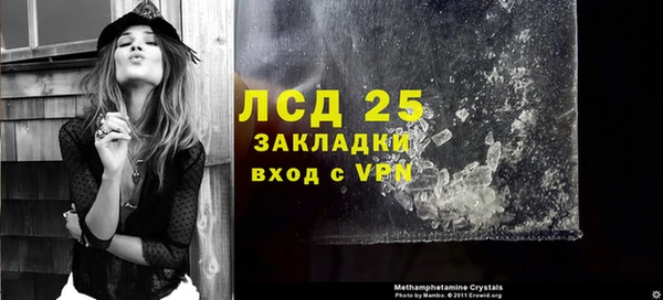 стафф Богданович