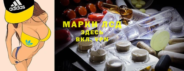 индика Богородицк