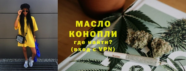 индика Богородицк