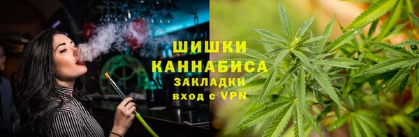 дживик Богородск