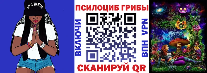 Галлюциногенные грибы Psilocybe  цены   кракен онион  Воткинск 